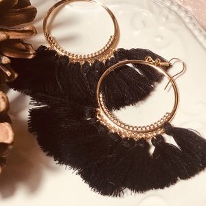 Beautiful Fashion Earrings fringe